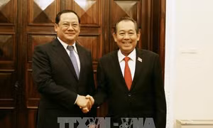 Phó Thủ tướng Trương Hòa Bình hội đàm với Phó Thủ tướng Lào Sonexay Siphandone 