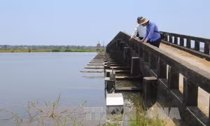 Thừa Thiên - Huế gia cố đập Cửa Lác