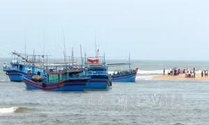 Bị tàu Philippines làm đứt dây dù căng gió, tàu cá Bình Định trôi dạt trên biển