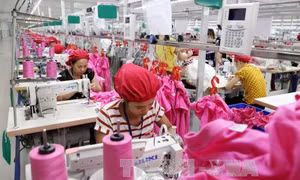 Giảm thuế thu nhập doanh nghiệp chưa chắc đã gây hụt thu ngân sách