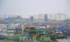 Đà Nẵng chuẩn bị kịch bản ứng phó với thiên tai trong Tuần lễ Cấp cao APEC 2017 