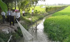 Tiền Giang