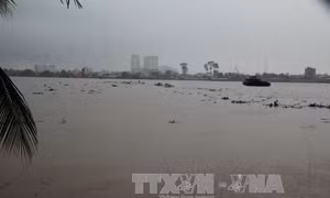 Chủ động ứng phó với nguy cơ ngập lụt những khu vực thấp ven sông Đồng Nai