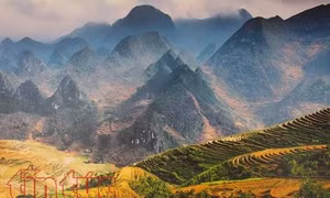 TP Hồ Chí Minh