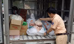 Tiêu hủy hơn 400 kg mỡ lợn không rõ nguồn gốc