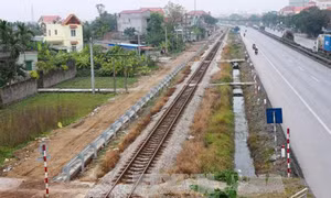 Cương quyết xóa bỏ các đường ngang dân sinh trái phép qua đường sắt