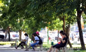 Bắc Bộ trời mát, Trung Bộ chuyển mưa
