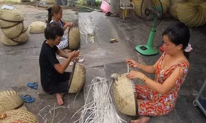 Bạc Liêu dự kiến đào tạo nghề cho 120.000 lao động nông thôn vào năm 2025