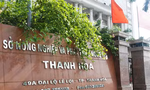  Xóa 'mô hình' cả họ làm quan: Cần sự công khai