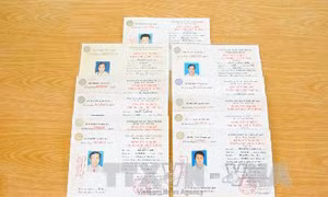 Ninh Bình phát hiện một cán bộ xã sử dụng bằng giả 