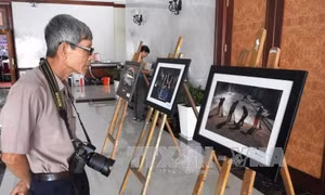 Giải thưởng Văn học nghệ thuật năm 2016 được trao cho 66 tác phẩm xuất sắc 