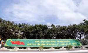 Đất Mũi Cà Mau rộn ràng mùa xuân tuổi 20 