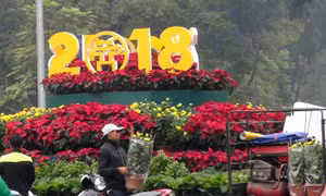 Hà Nội rực rỡ cờ hoa đón năm mới Mậu Tuất