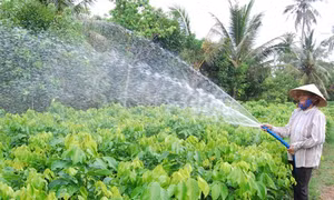 Liên kết phát triển các tỉnh Duyên hải phía Đông đồng bằng sông Cửu Long