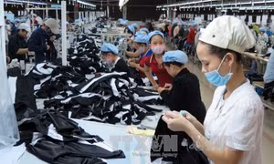 Mức xử phạt ra sao nếu không trả tiền làm thêm giờ cho người lao động?