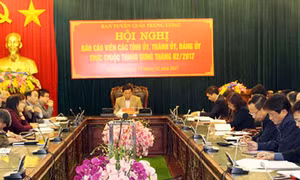 Hội nghị báo cáo viên các tỉnh ủy, thành ủy trực thuộc Trung ương