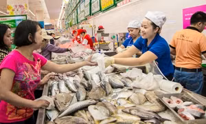 TP Hồ Chí Minh