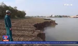 Khai thác cát trái phép làm sạt lở hàng chục ha đất canh tác