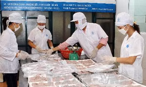 Gian nan chống chuyển giá