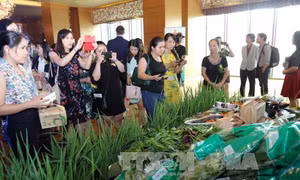 Tăng cường kết nối giao thương Việt – Nga