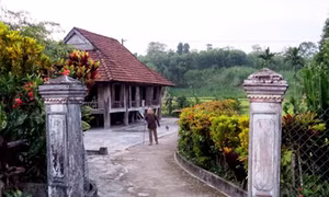 Đậm nghĩa tình Ngày giỗ Bác của đồng bào Mường ở Quảng Nam 
