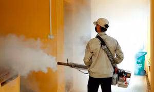 Lạnh dưới 16 độ muỗi sốt xuất huyết mới ngừng sinh sôi