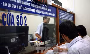 Hà Nội: Kiểm tra thông tin phản ánh 'cò mồi' làm dịch vụ cấp, đổi giấy phép lái xe
