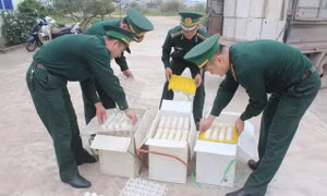 Tịch thu 5.400 quả trứng gia cầm không rõ nguồn gốc 