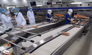 Ngăn chặn công nghệ, thiết bị lạc hậu chuyển giao vào Việt Nam