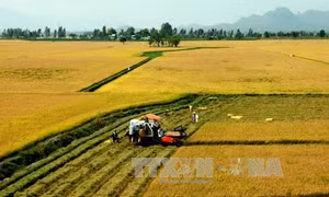 Cải cách ruộng đất sẽ là động lực cho nông nghiệp 'cất cánh'