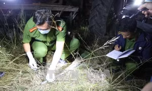 Hỗn chiến do tranh chấp đất tại Đắk Lắk, 7 người thương vong
