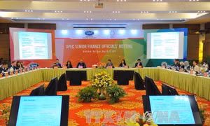 APEC 2017: Học hỏi kinh nghiệm để có lộ trình phù hợp trong cải cách thuế 