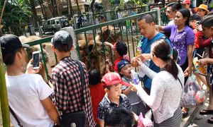 TP Hồ Chí Minh