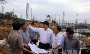 Đà Nẵng báo cáo Thủ tướng về các dự án tại bán đảo Sơn Trà 