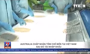 Australia chấp nhận tôm chế biến tại Việt Nam sau đó tái nhập khẩu