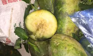 Vĩnh Phúc làm rõ vụ đưa rau quả kém chất lượng vào trường tiểu học