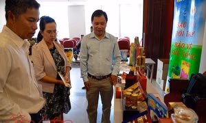 Thành phố Hồ Chí Minh