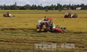 Ngành trồng trọt sẽ đạt tăng trưởng trên 2% 