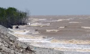 Các tỉnh ven biển từ Quảng Ninh đến Cà Mau chủ động ứng phó với gió mạnh, sóng lớn