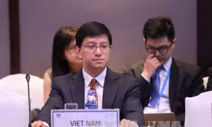 Ngày họp cuối cùng của các Ủy ban, nhóm công tác của APEC 