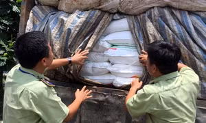 Tìm cách tiêu thụ đường tồn kho 