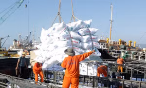 Kiểm toán Nhà nước yêu cầu PVFCCo điều chỉnh báo cáo tài chính