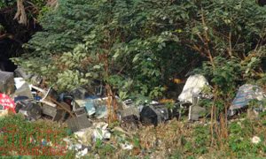 Kinh hãi 'hồ rác' Linh Quang