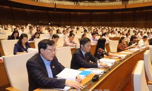Quốc hội thông qua dự án Luật Lâm nghiệp