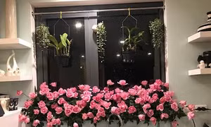 Cùng 'Người đàn bà đẹp' săn hoa rẻ như cho dịp nghỉ lễ 30/4 - 1/5