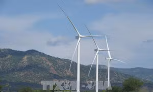 Hiện thực hóa 'giấc mơ' điện gió