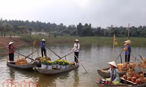 Trải nghiệm Chợ nổi Cái Răng trên hồ Đồng Mô