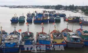 Ứng phó bão số 11: Thừa Thiên - Huế cấm tàu thuyền đánh bắt cá trên biển từ ngày 15/10