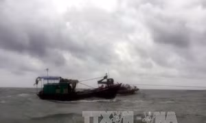 Quảng Ngãi: Cứu ngư dân bị trôi dạt trên biển