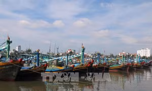 Hải Phòng tạm giao quản lý hành chính trên biển 